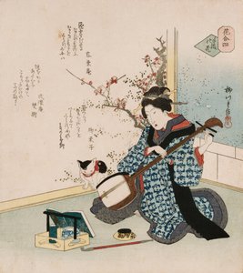 Te-ike no hana "Met de hand geplukte bloem", een term die wordt gebruikt om te verwijzen naar een geisha of courtisane die de vrouw of minnares is geworden van de patroon die haar contract met een bordeel heeft afgekocht, illustrerend een vrouw die een sam