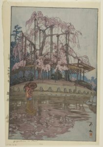 Yozakura in de regen