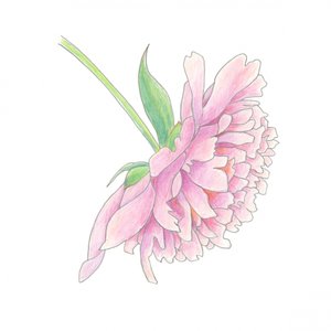  door Yvonne Gustafsson