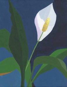  door Yvonne Gustafsson