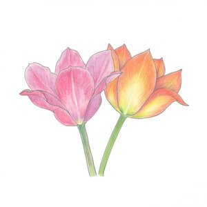  door Yvonne Gustafsson
