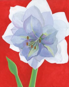  door Yvonne Gustafsson
