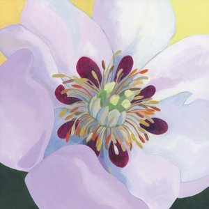  door Yvonne Gustafsson