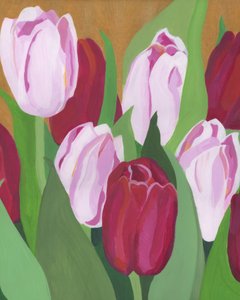 door Yvonne Gustafsson