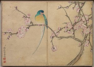 Bureau Album: Bloem- en Vogel Schilderijen (vogel met pruimenbloesems)