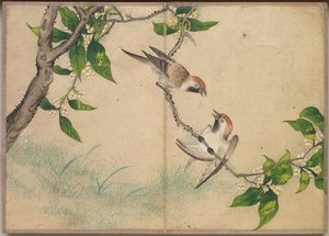 Bureau Album: Bloem- en Vogel Schilderijen (roddelende mussen)