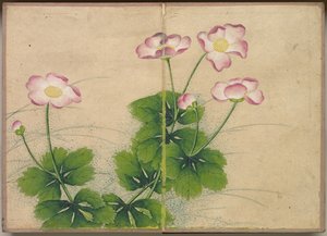 Bureau Album: Bloemen- en Vogel Schilderijen malvabloemen