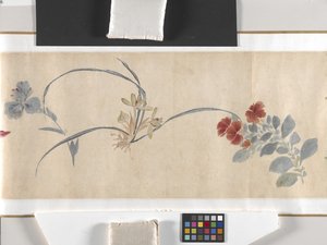 Gekleurde Bloemen door Zhimian Zhou