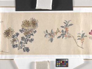 Gekleurde Bloemen