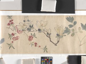 Gekleurde bloemen door Zhimian Zhou