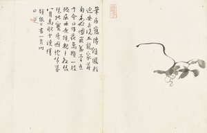 Landschappen en bloemen, album van zes bladen door Zhu da Bada Shanren