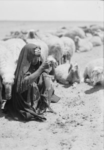 Een jonge bedoeïenherderin die spint nabij Beersheba door . .