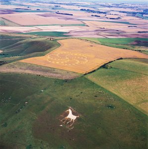 Graancirkel in tarweveld, Milk Hill, Alton Priors, Vale of Pewsey, Wiltshire door Ferdinand Georg Waldmuller