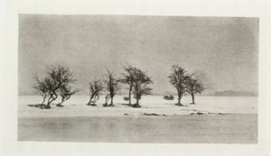 Knoestige doornbomen door Frederick (attr. to) Barnard
