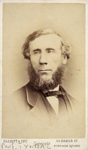 John Tyndall, Ierse natuurkundige, ca. 1875 door Frederick (attr. to) Barnard