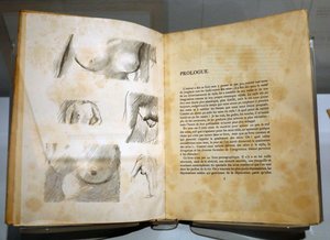 Musée des Impressionnismes, Giverny, Frankrijk. Boek door Ramon Gomez de la Serna met tekeningen van Pierre Bonnard. Borsten. door . .