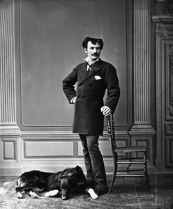 Portret van elegante jonge man