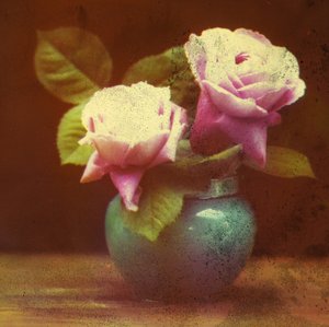 Rozen
