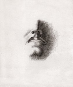 Studie voor het gezicht van een man: mond en neus. circa 1830 (tekening)