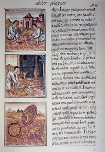 Servies- en schildproductie, pagina uit de Florentijnse Codex, tweetalige versie in Spaans en Nahuatl