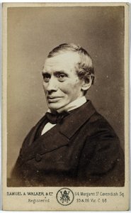 Thomas Graham, Schotse chemicus, ca. 1870