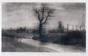 Winterlandschap: eenzame boom bij een bocht in een rivier