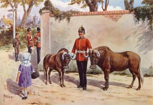 Wildebeesten (of Witstaart Gnoe), Huisdieren van de South Wales Borderers