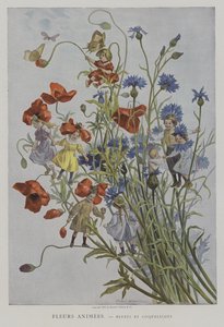 Geanimeerde Bloemen: korenbloemen en klaprozen