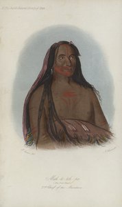 Mah-to-toh-pa, De Vier Beren, 2e Hoofdman van de Mandans (aquatint)