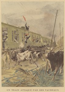 Een trein aangevallen door stieren
