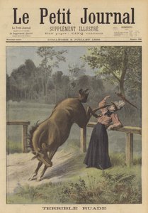 Een vrouw geschopt door een paard