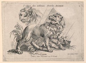 Studies van Leeuwen, Plaat 4 uit "Cahier des Desseins Diverses Animeaux"