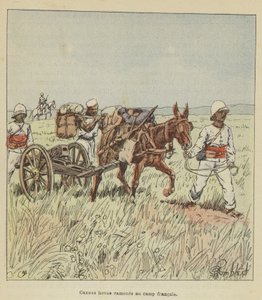 Hova-kanonnen teruggebracht naar het Franse kamp door after Louis Charles Bombled