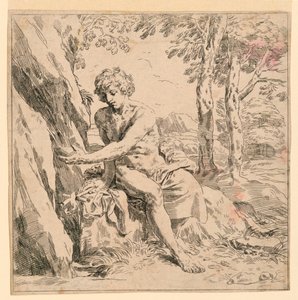 Sint Jan in de Wildernis door after Simone Cantarini