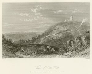 Uitzicht op Leith Hill