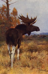 Eland door after Wilhelm Kuhnert