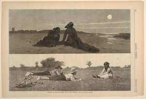 Flirten aan de kust en op de weide