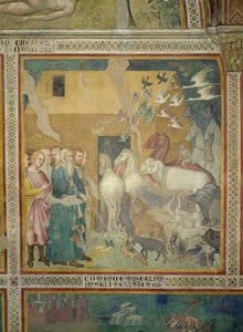 Noach leidt de dieren naar de ark, 1356-67 door also Manfredi de Battilori Bartolo di Fredi