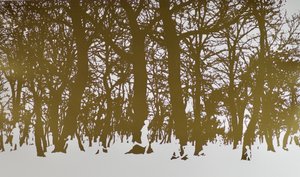 Bomen van het leven door angus hampel