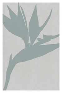 Silhouet van een paradijsvogel
