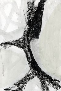 Gedurfd, monochroom en abstract door cartissi