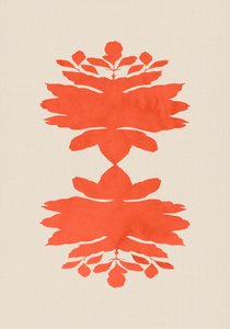 Koraal en botanische symmetrie door cartissi