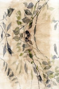 Etherische botanische stroming door cartissi