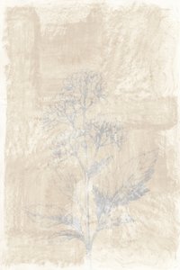 Vervaagde botanische schets door cartissi