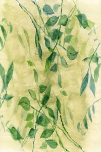 Zachte botanische flow