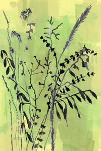 Groene botanische silhouetten door cartissi