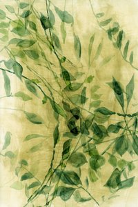 Groene bladeren in aquarel door cartissi