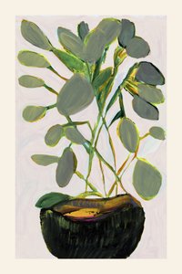 Weelderige groene kamerplant
