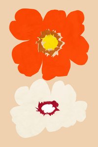 Oranje en witte bloemen door cartissi