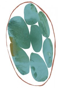 Biologische blauwgroene edelstenen door cartissi